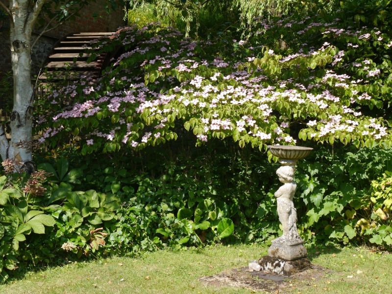 Sidbury Mill